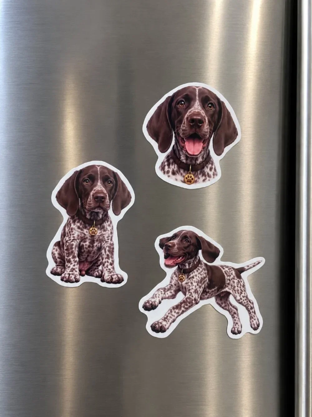 3 German Shorthaired Pointer Dog Magnets GSP Puppy Fridge Refrigerator Decor Gif